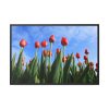 88289-249.jpg Red Tulip Framed Canvas