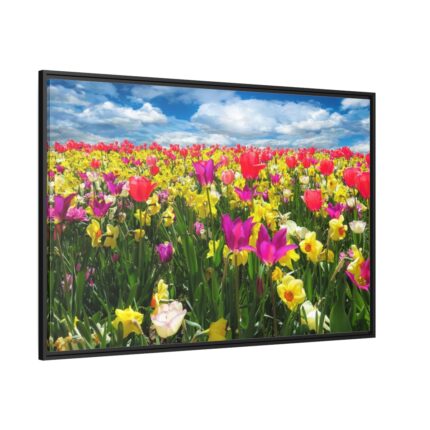 Tulips Beautiful Framed Canvas