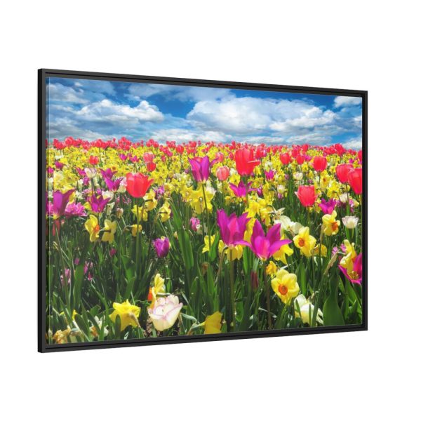 Tulips Beautiful Framed Canvas