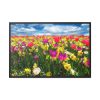 Tulips Beautiful Framed Canvas