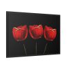 88289-256.jpg Flowering Plant Framed Canvas