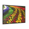 88289-260.jpg Beautiful Blossoms Framed Canvas