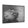 88289-264.jpg Polar Bear Black and White Framed Canvas