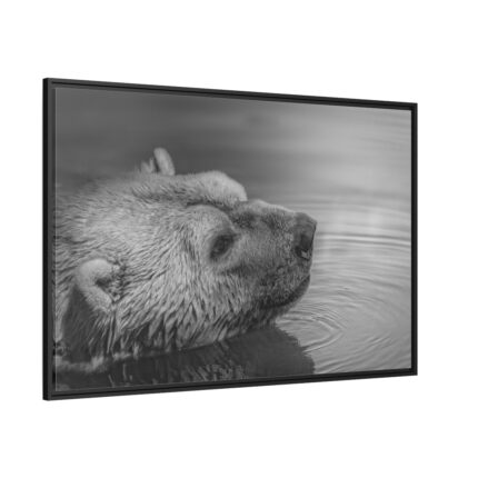 Polar Bear Black and White Framed Canvas