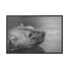 88289-265.jpg Polar Bear Black and White Framed Canvas