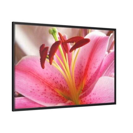Colorful Pink Framed Canvas