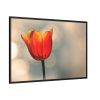 88289-276.jpg Sunny Framed Canvas