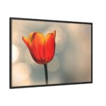 Sunny Framed Canvas