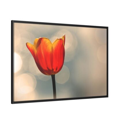 Sunny Framed Canvas
