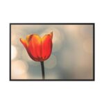 Sunny Framed Canvas - Image 2