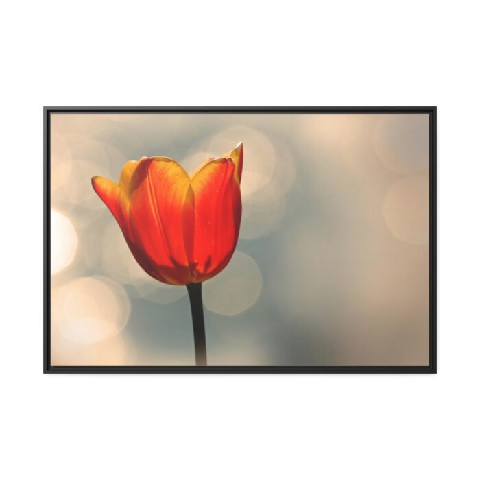 Sunny Framed Canvas - Image 2