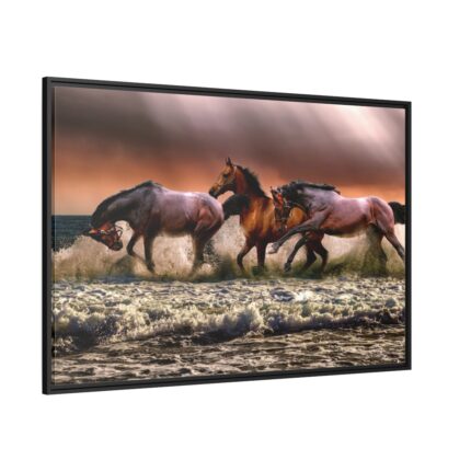 Australian Horses Framed Canvas
