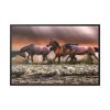 88289-286.jpg Australian Horses Framed Canvas