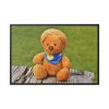 88289-306.jpg Bear with a Hat Framed Canvas