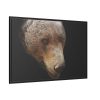 88289-310.jpg Bear Head Artistic Framed Canvas