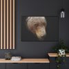 88289-314.jpg Bear Head Artistic Framed Canvas