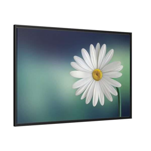 88289-330.jpg Lonely Daisy Framed Canvas