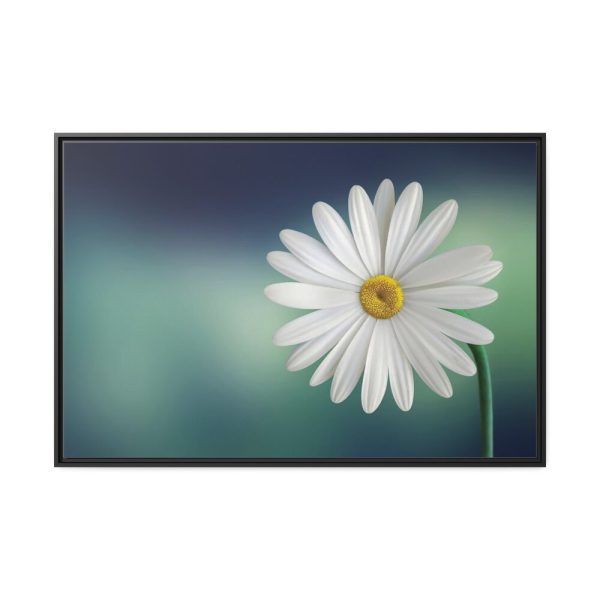 88289-331.jpg Lonely Daisy Framed Canvas