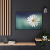 88289-334.jpg Lonely Daisy Framed Canvas
