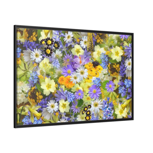 Daisy Flower Background Framed Canvas