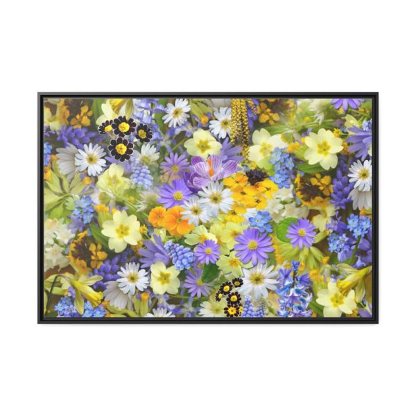 Daisy Flower Background Framed Canvas