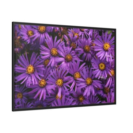 Purple Daisy Framed Canvas