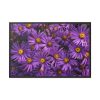 88289-341.jpg Purple Daisy Framed Canvas