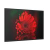88289-350.jpg Red Daisy Framed Canvas