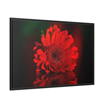 Red Daisy Framed Canvas