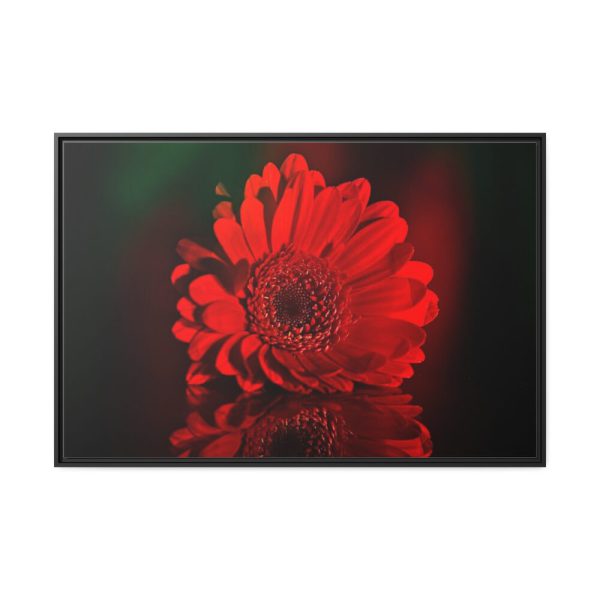 88289-351.jpg Red Daisy Framed Canvas