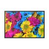 88289-356.jpg Colorful Daisies Framed Canvas