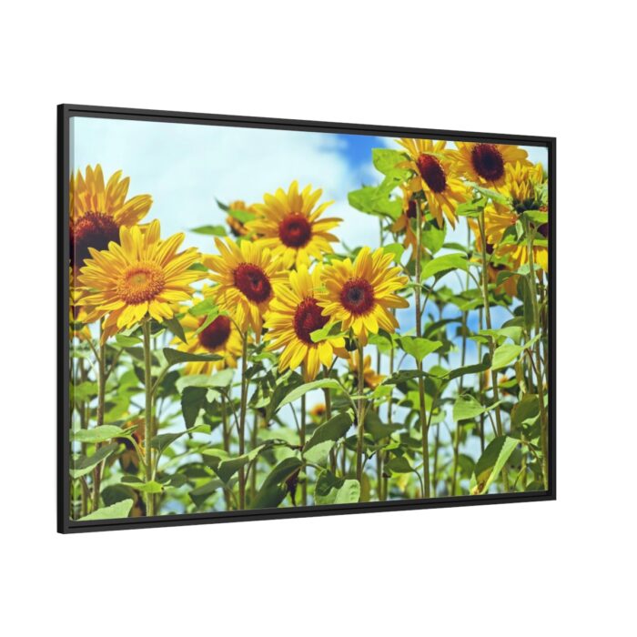 Bloom Sunflower Framed Canvas - Image 1