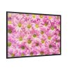 88289-360.jpg Pink Daisies Framed Canvas