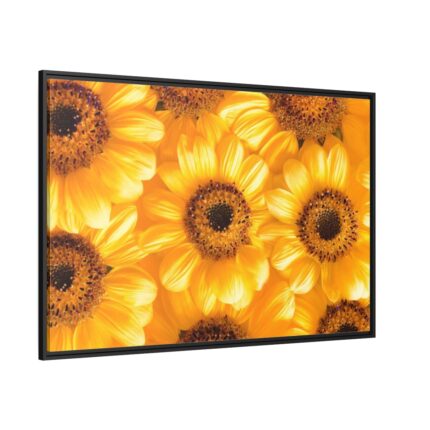 Yellow Daisies Framed Canvas