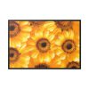 88289-366.jpg Yellow Daisies Framed Canvas
