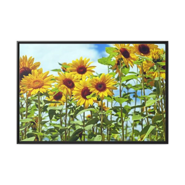 Bloom Sunflower Framed Canvas