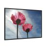 88289-370.jpg Pink Daisy with Blue Sky Framed Canvas