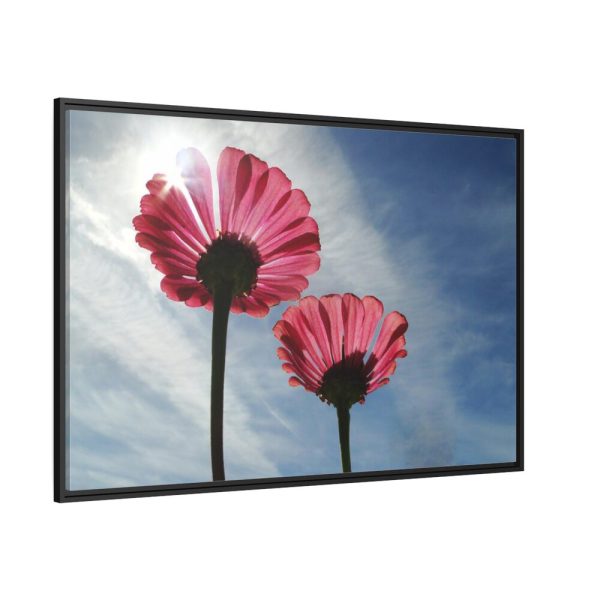 88289-370.jpg Pink Daisy with Blue Sky Framed Canvas