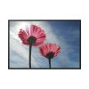 88289-371.jpg Pink Daisy with Blue Sky Framed Canvas