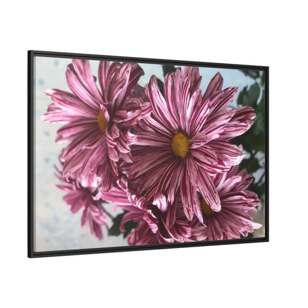 88289-380.jpg Pink-White Daisies Framed Canvas