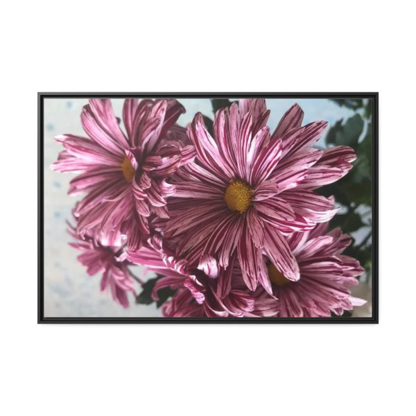 88289-381.jpg Pink-White Daisies Framed Canvas