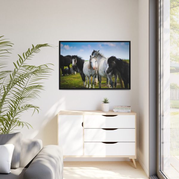 A Herd of Grey and White Horses Framed Canvas