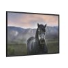 Gray Horse Framed Canvas