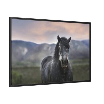 Gray Horse Framed Canvas