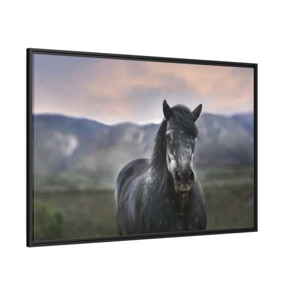 Gray Horse Framed Canvas
