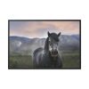 Gray Horse Framed Canvas