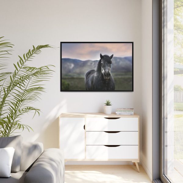 Gray Horse Framed Canvas