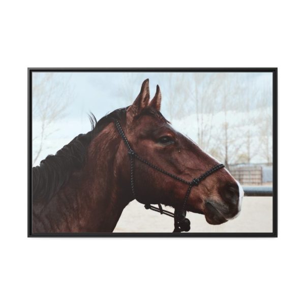 88289-396.jpg The Side of the Head of a Brown Horse Framed Canvas
