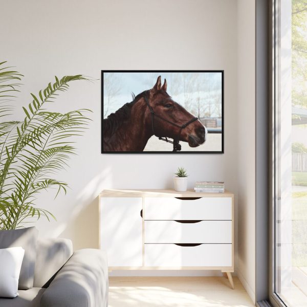 88289-398.jpg The Side of the Head of a Brown Horse Framed Canvas
