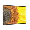 88289-40.jpg Closeup Sunflower Framed Canvas